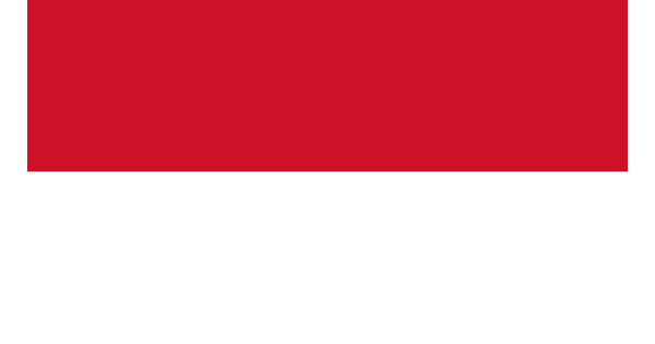 VPN indonésie