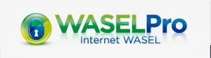 Wasel Pro logo